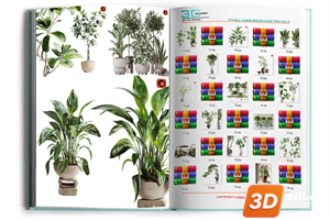 978.Sell Album Indoor Plant PRO Vol 01